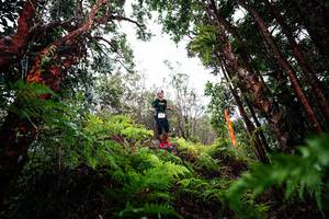 BIB: 
                            <button type="button" onclick="openModal(26201445)" class="btn btn-primary btn-sm float-right btn-popup" data-toggle="modal" data-target=".modal-high-quality">
                        <i class="fas fa-shopping-cart"></i> Add to Cart
                    </button>
                                            <button type="button" onclick="isThisMe(26201445, true)" class="btn btn-success btn-sm float-right btn-popup btn-isme hidden" data-toggle="tooltip" data-placement="bottom" title="นี่คือรูปของคุณใช่ไหม คลิกที่นี่เพื่อเอาเข้าอัลบั้ม">
                        <i class="fas fa-plus"></i> Add to album
                    </button>
                    <button type="button" onclick="isThisMe(26201445, false)" class="btn btn-warning btn-sm float-right btn-popup btn-isnotme hidden">
                        <i class="fas fa-ban"></i> Remove from album
                    </button>